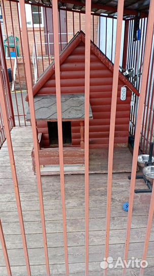 Вольер + утепленная будка для собаки