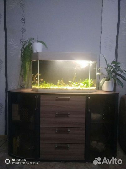 Аквариум