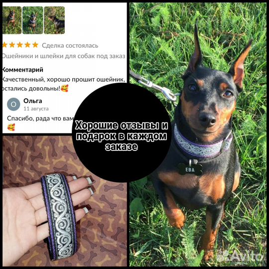 Ошейники и шлейки для собак под заказ