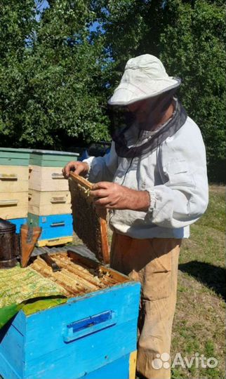 Мёд с доставкой разнотравье 2023