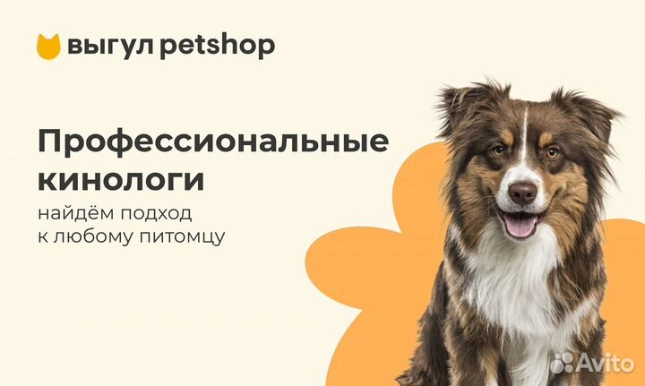 Выгул животных Petshop в Москве