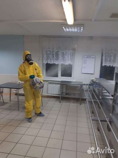 Уничтожение тараканов клопов блох комаров муравьев