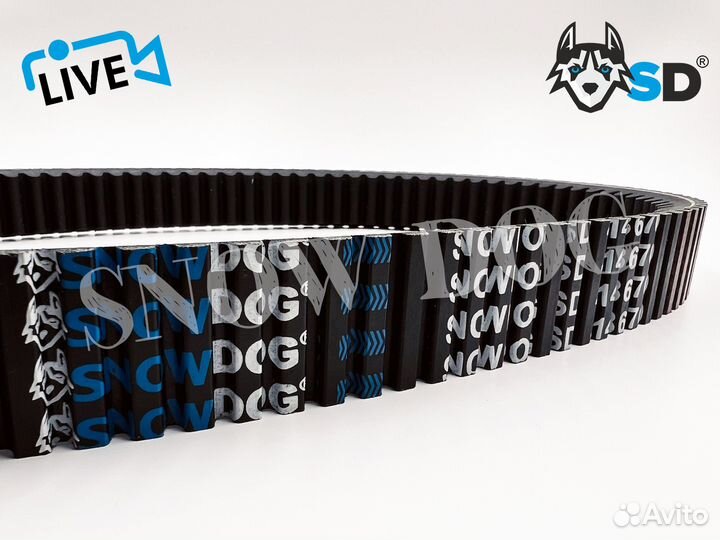 Ремень вариатора SD (SnowDog) 414860700