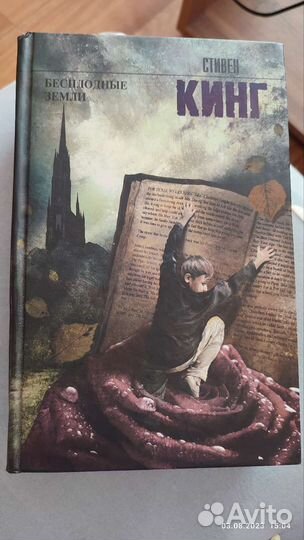 Бесплодные земли Стивен Кинг