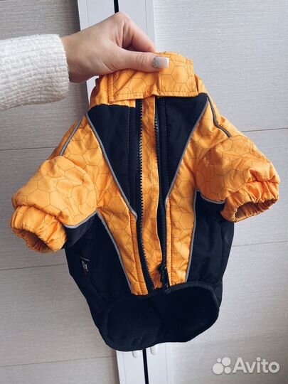 Комбинезон зммний для собак