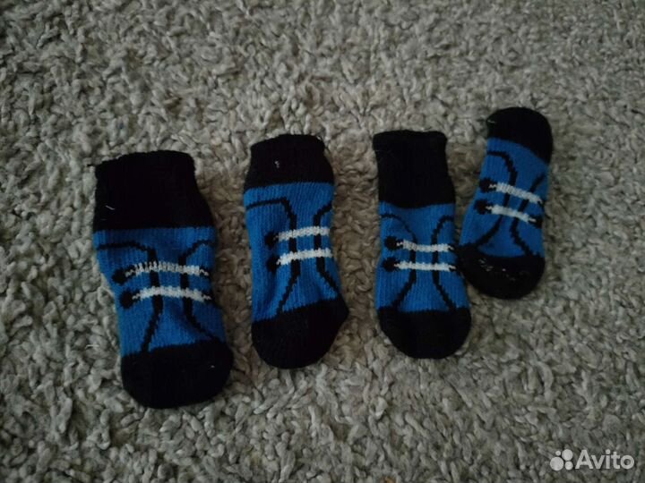 Обувь для маленьких собак