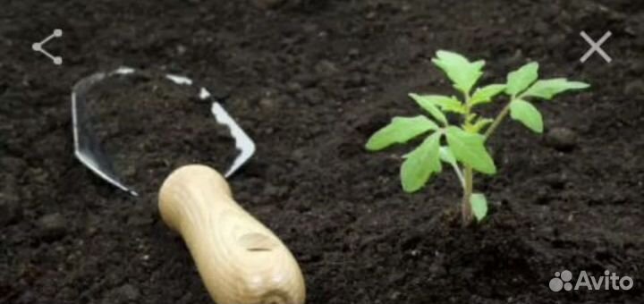 Перегной,земля плодородная,чернозем,навоз,торф