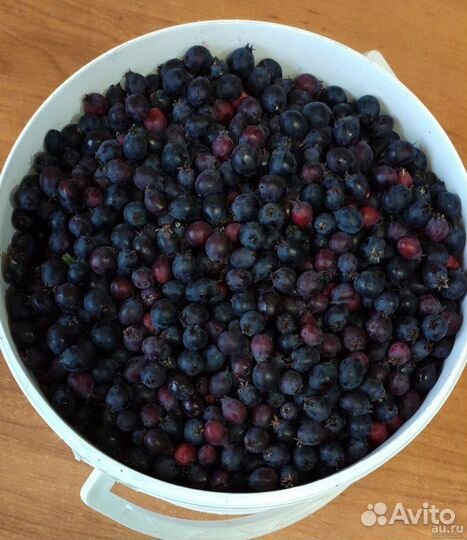 Ягода, вишня 200, ирга 150