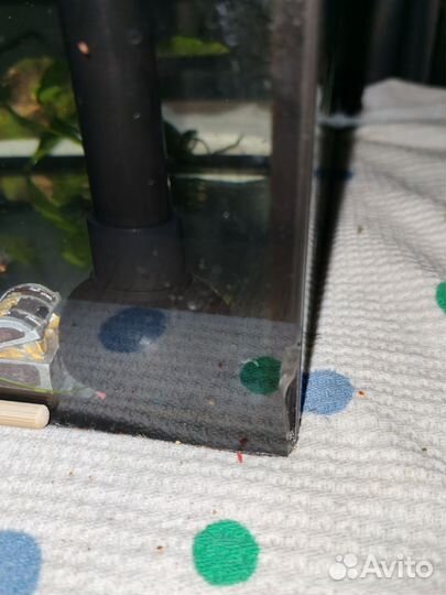 Аквариум с рыбками