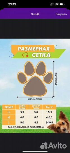 Носки для собак