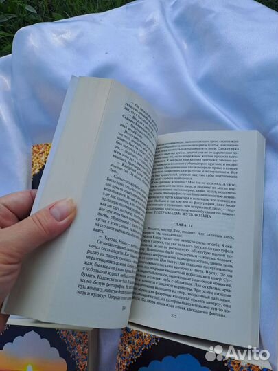 Книги Шантарам, Тень Горы