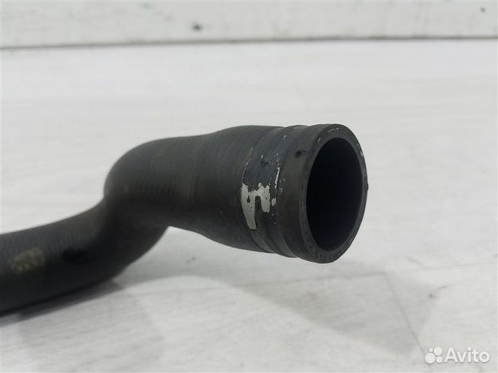 Патрубок радиатора нижний Ford Focus 2 (08-11)