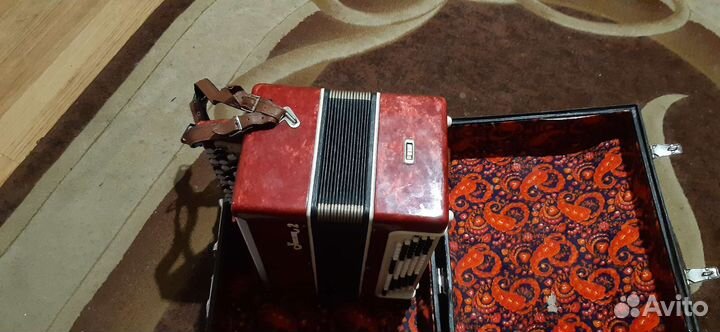 Баян унисон 2