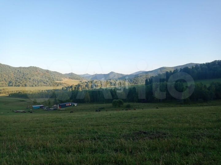 Участок 4,57 га (СНТ, ДНП)