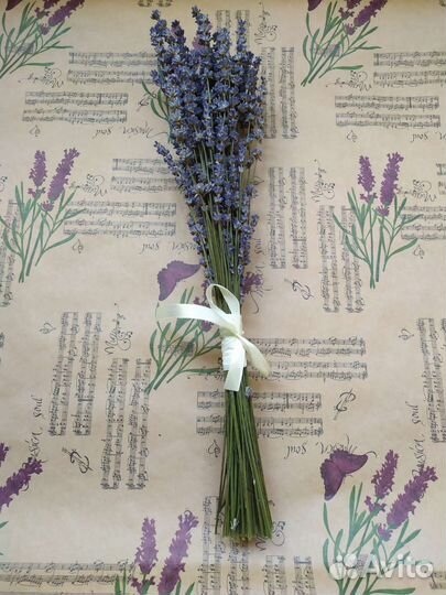 Букет цветов лавандин, лаванда
