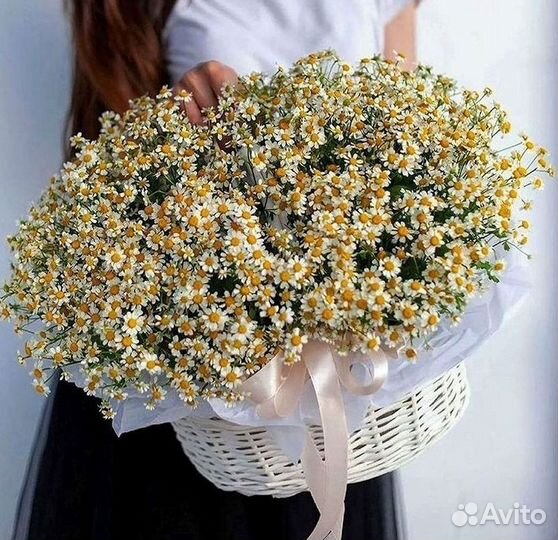 Ромашки букет