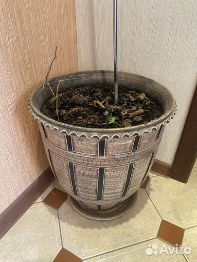 Большой напольный керамический горшок под цветы