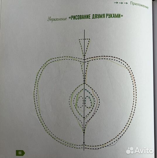 Скорочтение Шамиль Ахмадуллин
