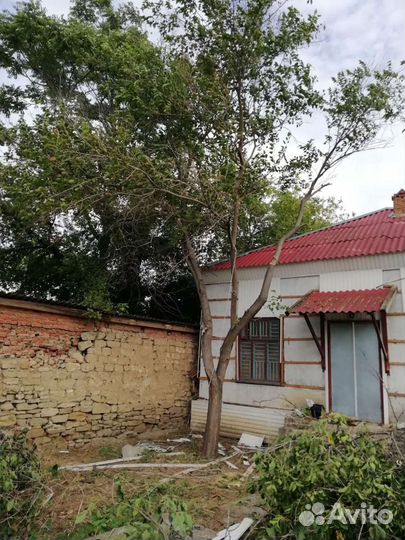 Спил деревьев