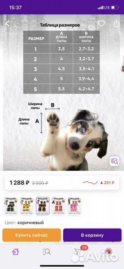 Ботиночки для собак мелких пород