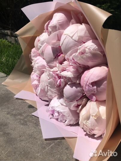 Цветы пионы с доставкой