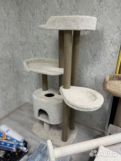 Комплекс для неск.кошек 