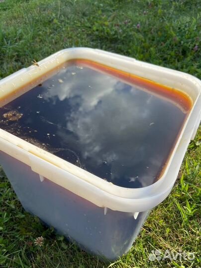 Мед оптом с Алтая / Экспорт в Китай и снг