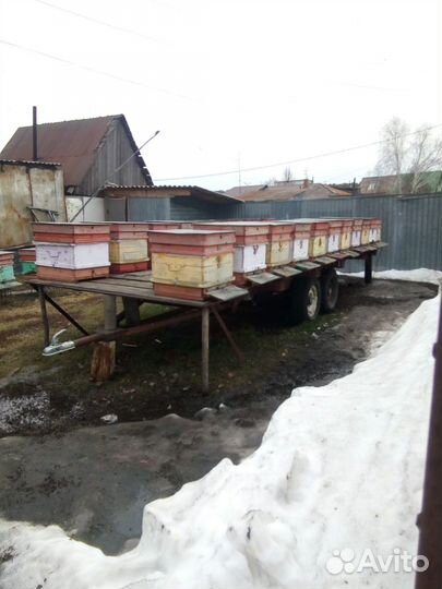 Подаются ульи для пчëл