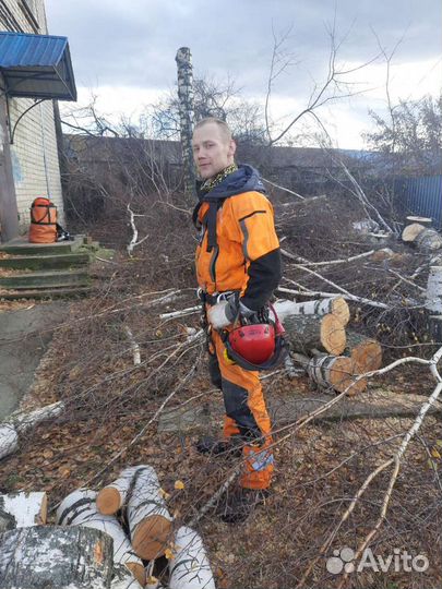 Спил деревьев