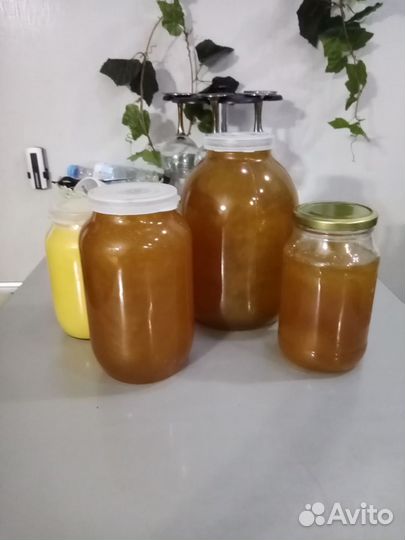 Свежий мед 2023