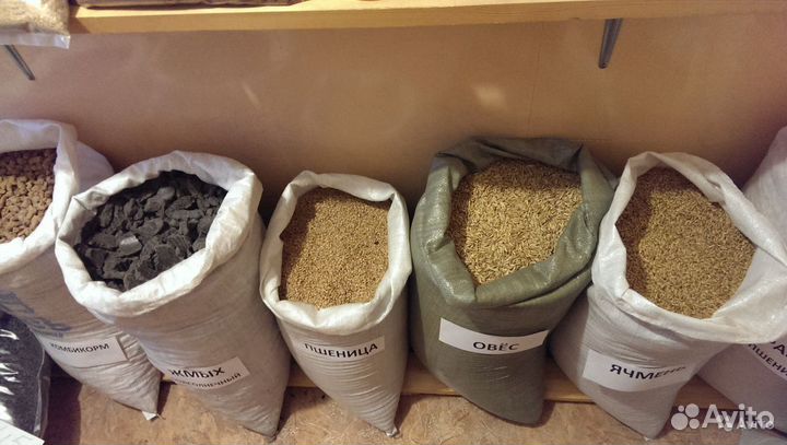 Корма и кормовые добавки