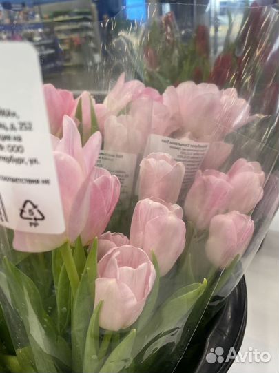 Тюльпаны к 8 марта доставка