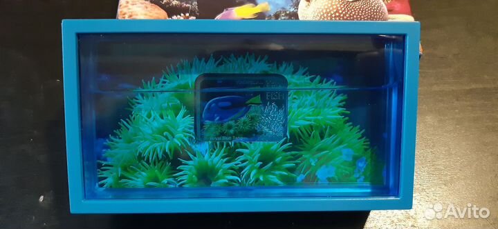 1 доллар Ниуэ Коралловая рыбка