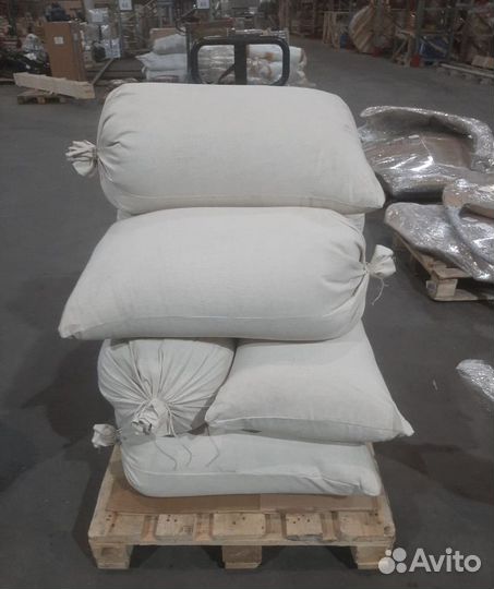 Семена ели на заказ