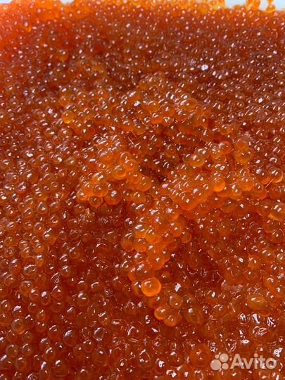 Красная икра Горбуши 2023