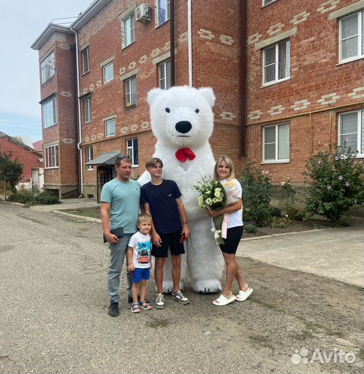 Белый мишка поздравление