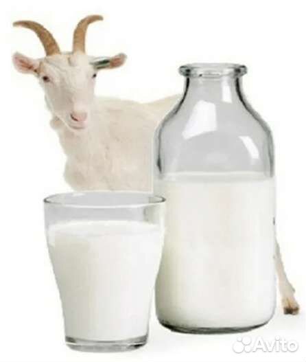 Козье молоко
