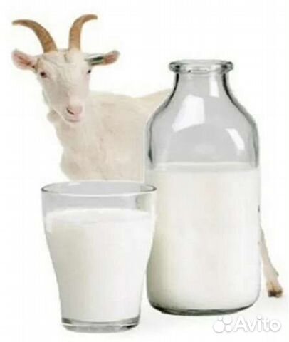 Козье молоко
