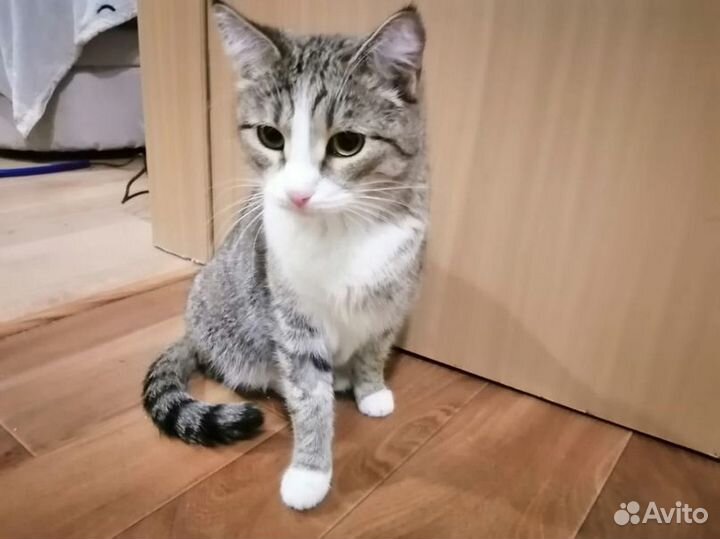 Молодая девочка Соня
