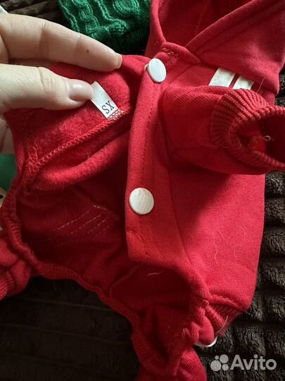 Одежда для маленьких собак