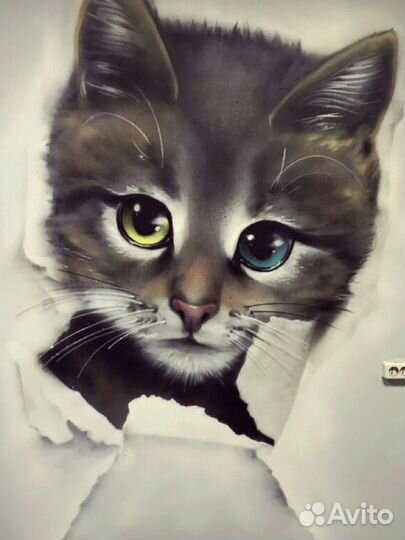 Граффити и оформление стен