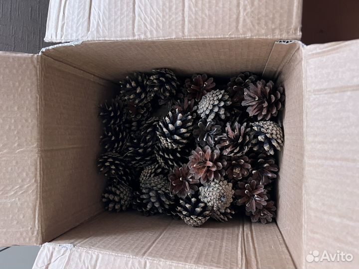 Шишки доя поделок