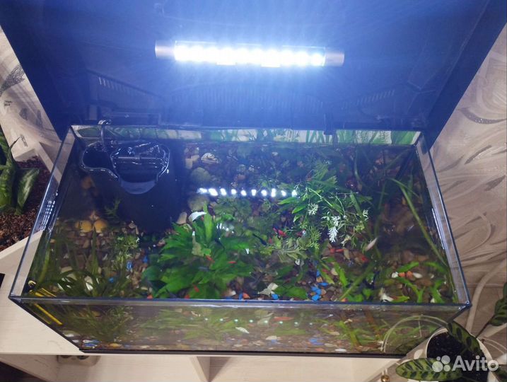 Аквариум