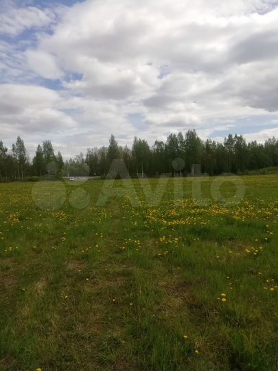 Участок 3,17 га (СНТ, ДНП)