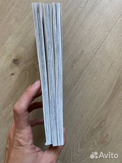 Коты воители Манга