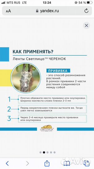 Лента прививочная