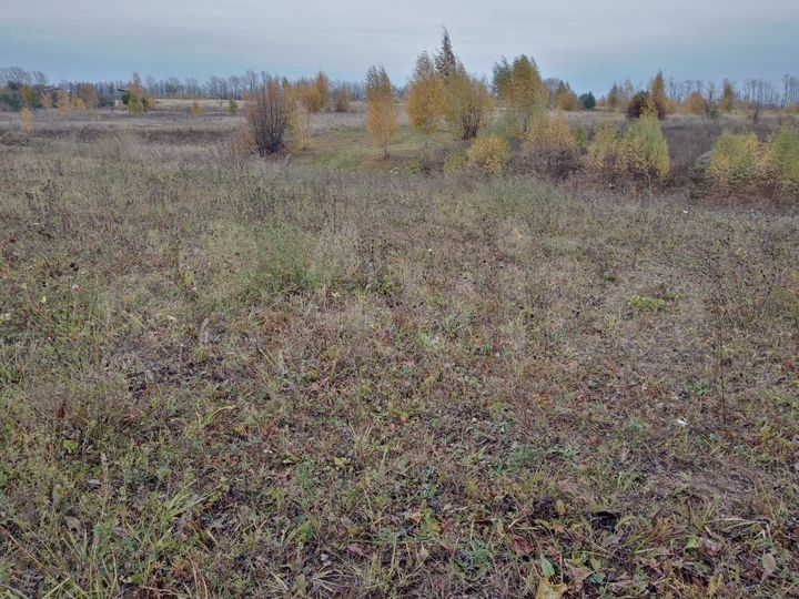 Участок 27 сот. (ИЖС)