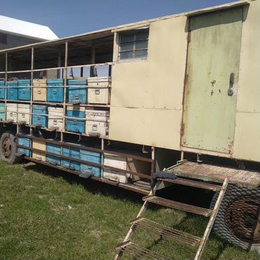 Павильон для пчел