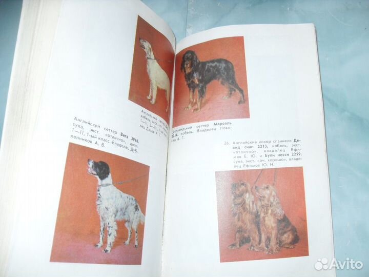 Каталог первой Ташкентской выставки собак