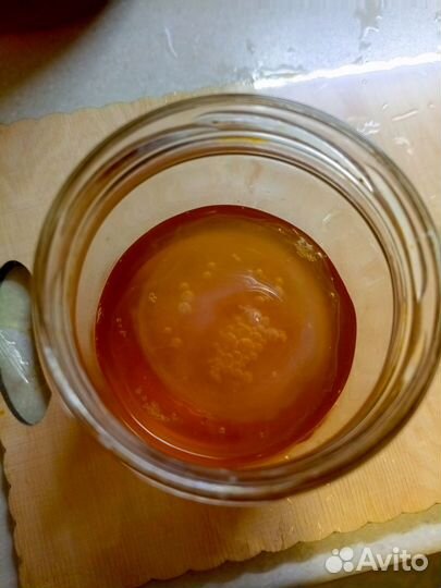 Чайный гриб